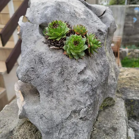 Seaside Bubi Apartmán Crikvenica