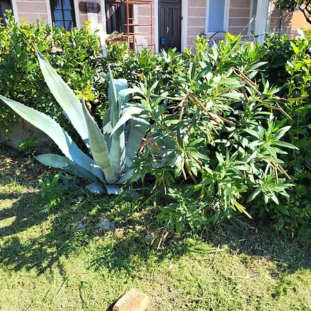 Seaside Bubi 公寓 *