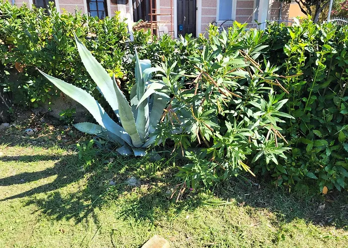 Seaside Bubi Appartamento *