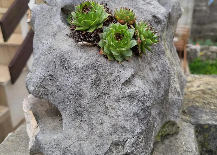 Seaside Bubi Appartamento Crikvenica